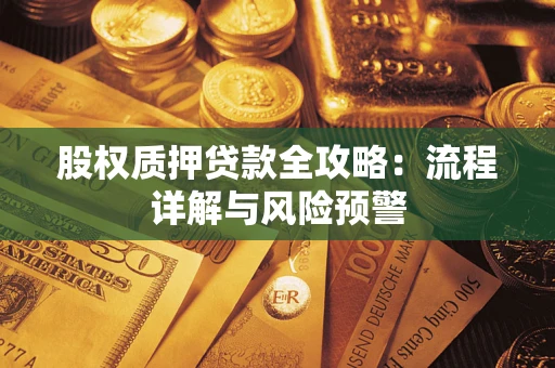 北京股权质押贷款全攻略：流程详解与风险预警