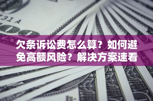 北京欠条诉讼费怎么算？如何避免高额风险？解决方案速看！
