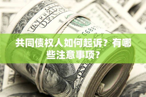北京共同债权人如何起诉？有哪些注意事项？